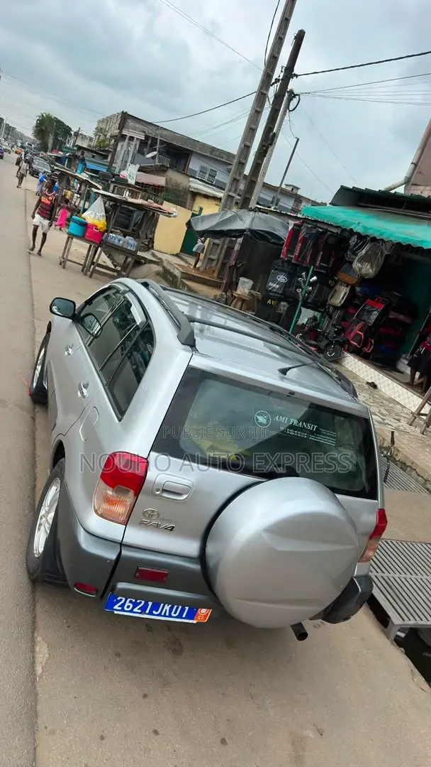 Toyota RAV4 2005 Gris