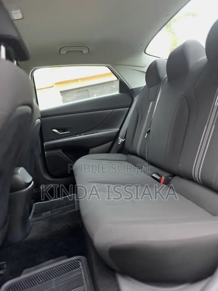 Hyundai Elantra 2022 Rouge