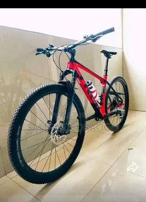 Vélo Électrique