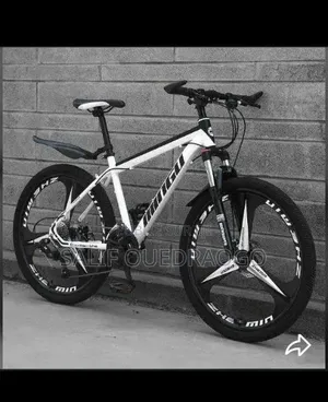 Vélo Électrique