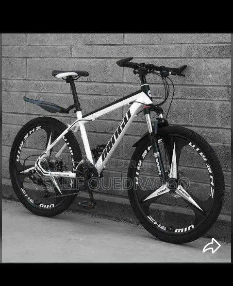 Vélo Électrique