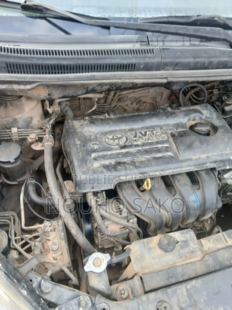 Toyota Verso 2009 Vert
