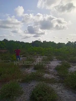 Terrain 1 Hectare Avec ACD en Vente À ASSINIE -ASSOUINDE