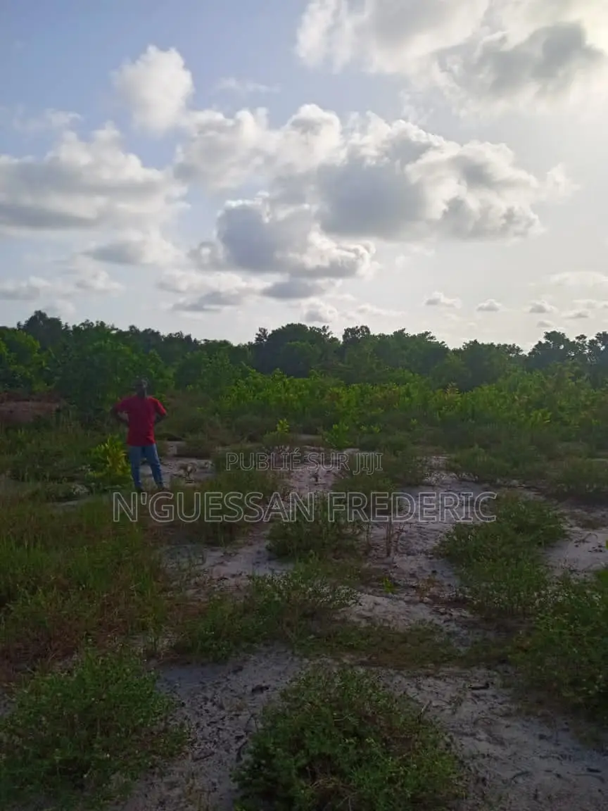 Terrain 1 Hectare Avec ACD en Vente À ASSINIE -ASSOUINDE