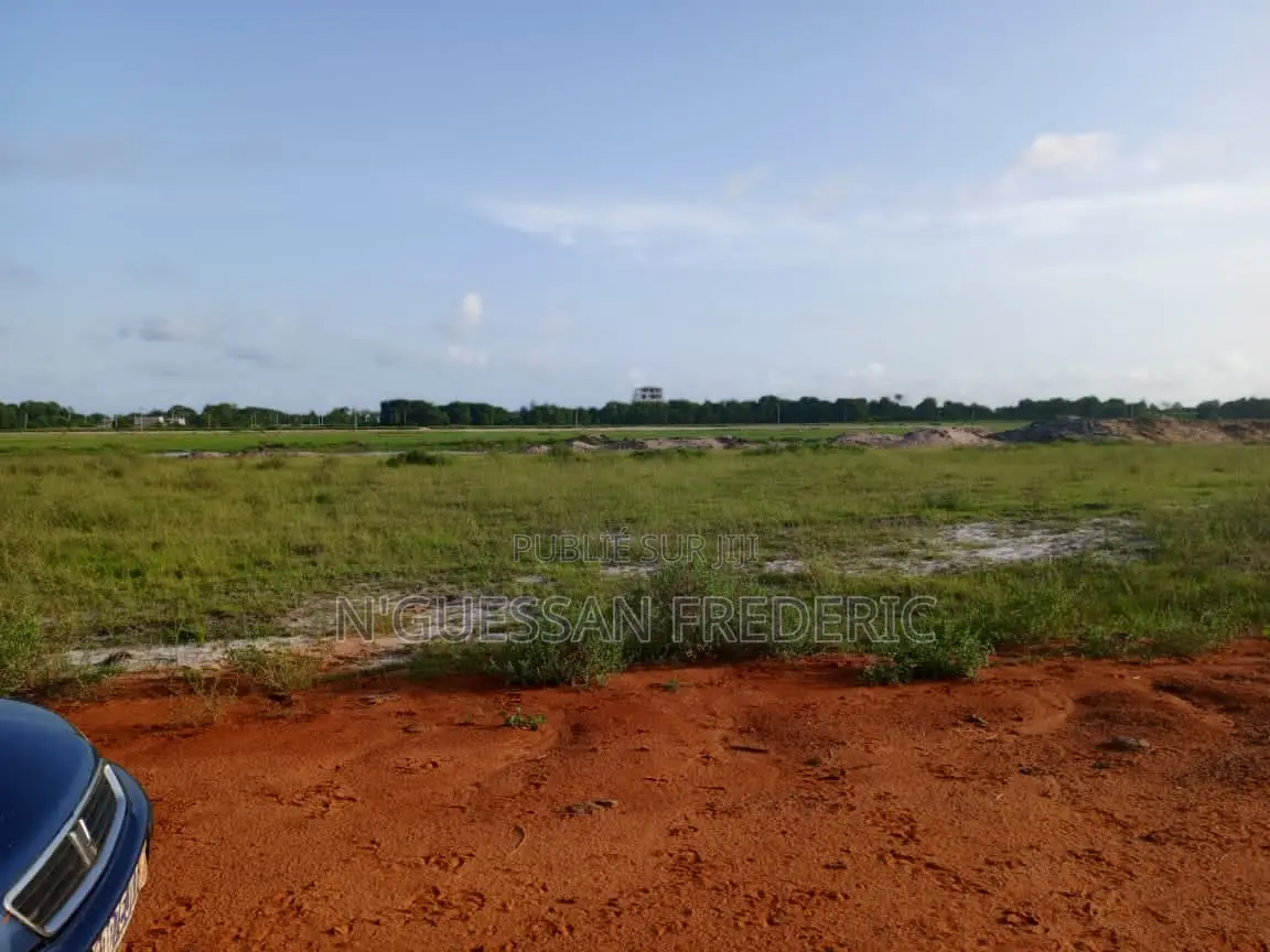 Terrain 1 Hectare Avec ACD en Vente À ASSINIE -ASSOUINDE