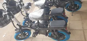 Bicyclette Electric