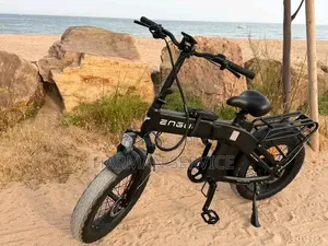 Vélo Électrique