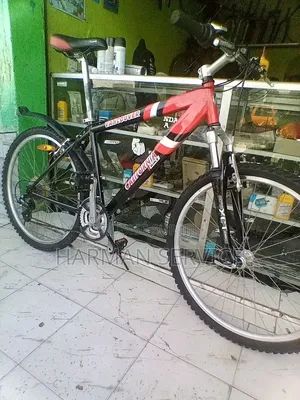 Vélo Vélos