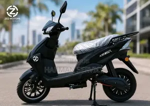 Scooter Électrique