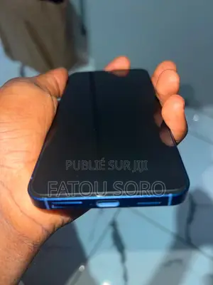 Google Pixel 10 256 GB Bleu