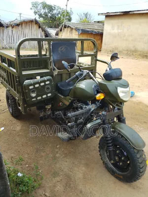 Tricycle Autre 2026 Vert
