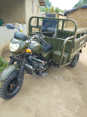 Tricycle Autre 2026 Vert