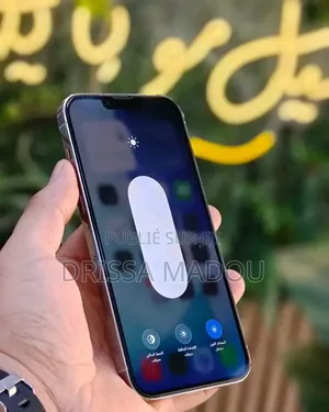 Nouveau Apple iPhone 13 256 GB Autre