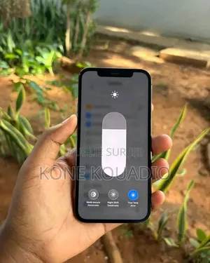 Nouveau Apple iPhone 12 Pro 256 GB Noir