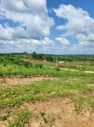 Vente De Terrain À Divo