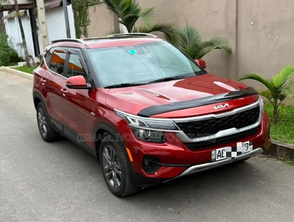 Kia Seltos 2024 Rouge