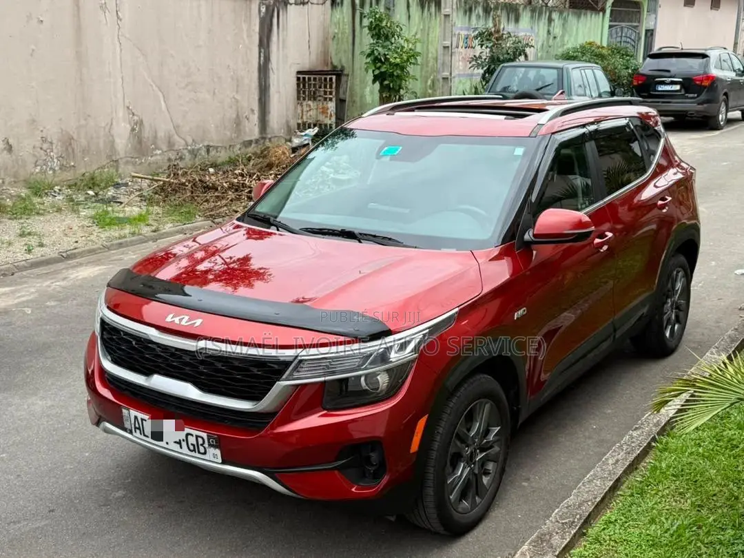 Kia Seltos 2024 Rouge
