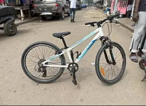 Vélo Roland