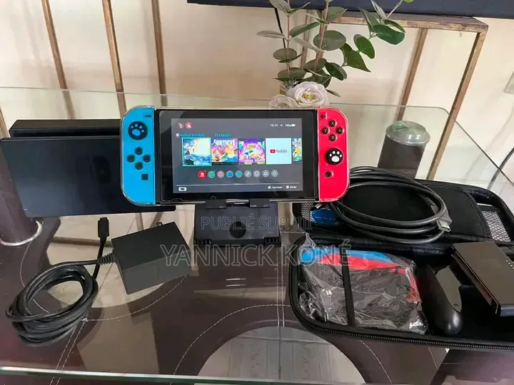 Tout Passe Dans Le Nintendo