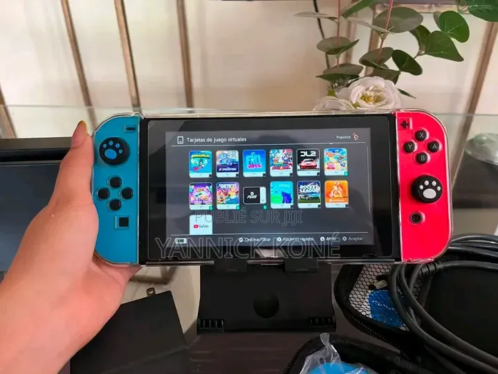 Tout Passe Dans Le Nintendo