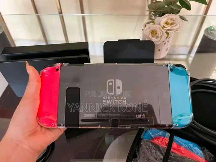 Tout Passe Dans Le Nintendo