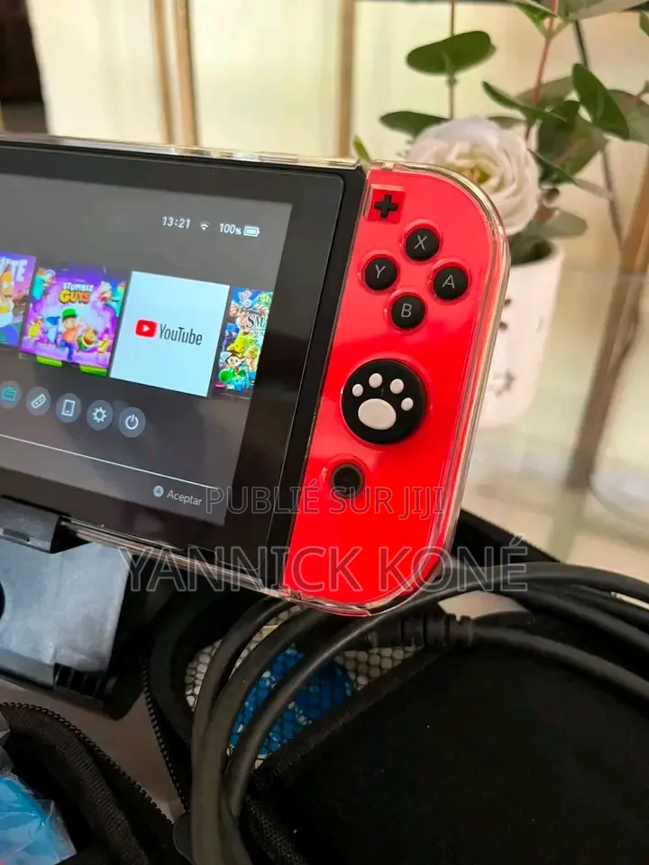 Tout Passe Dans Le Nintendo