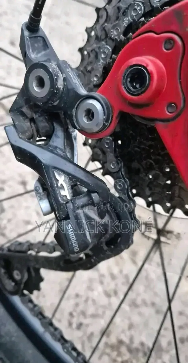 Tout Passe Dans Le Vélo