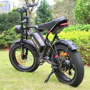 Vélo Électrique