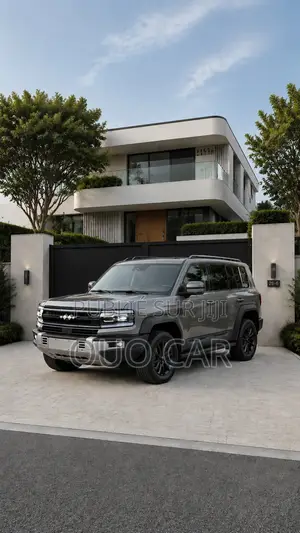 BYD Leopard 5 2025 Gris