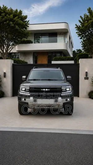 BYD Leopard 5 2025 Gris