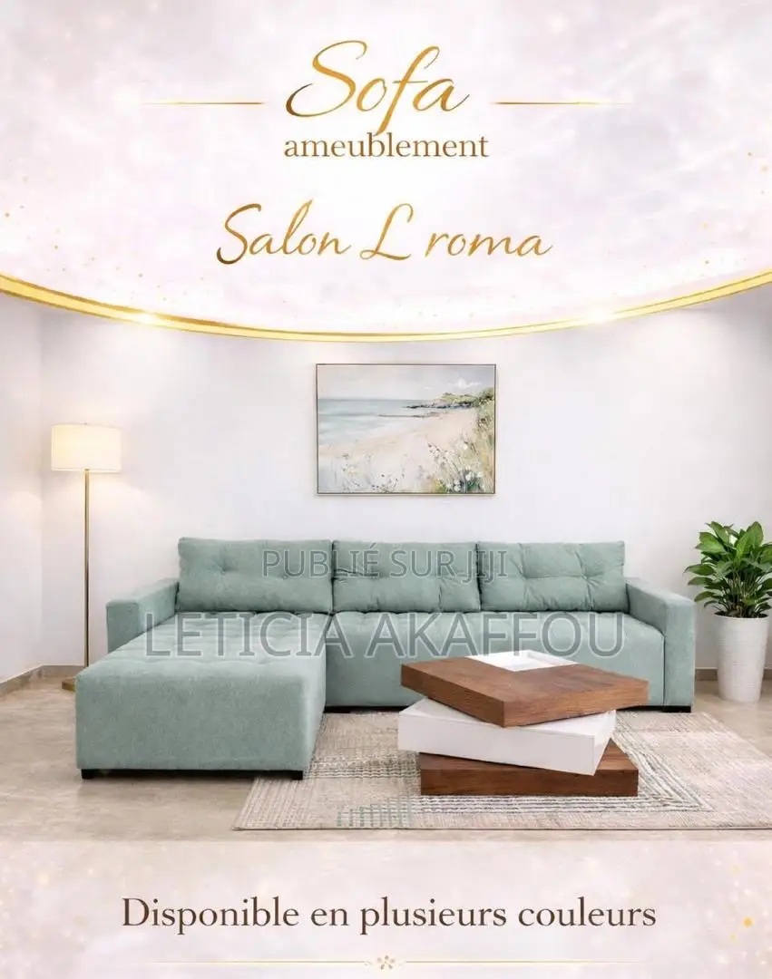 Fauteuils en Similicuir
