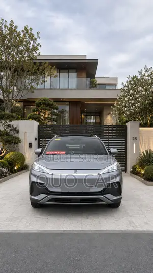 BYD Yuan Plus 2022 Gris