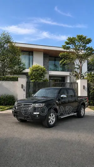 Great Wall Wingle 2020 Noir