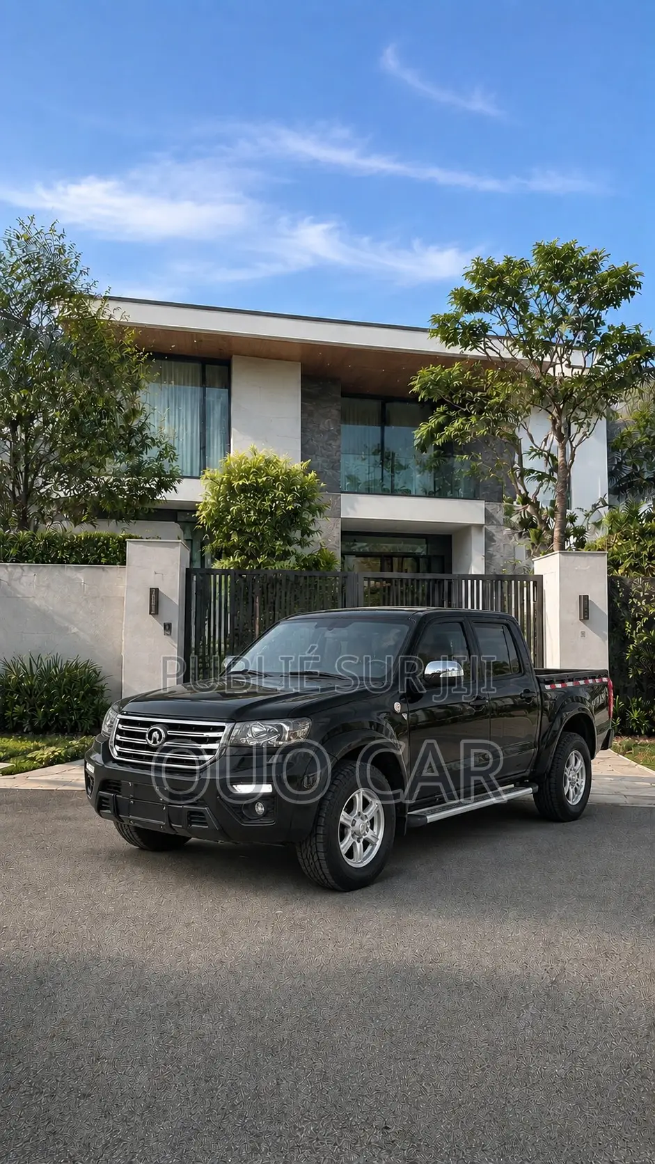 Great Wall Wingle 2020 Noir