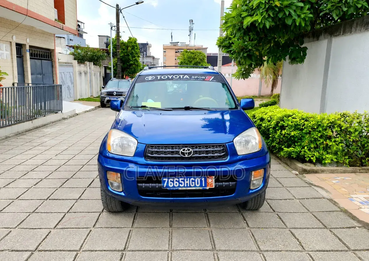 Toyota RAV4 2002 Bleu