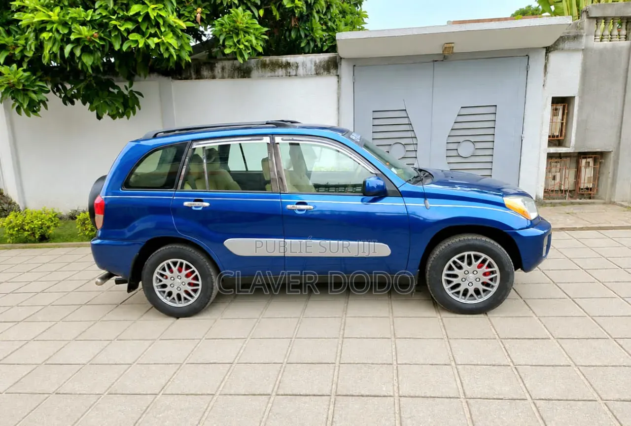 Toyota RAV4 2002 Bleu