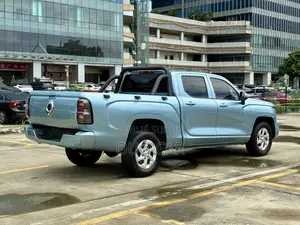 Great Wall King Kong Poer 2022 Bleu