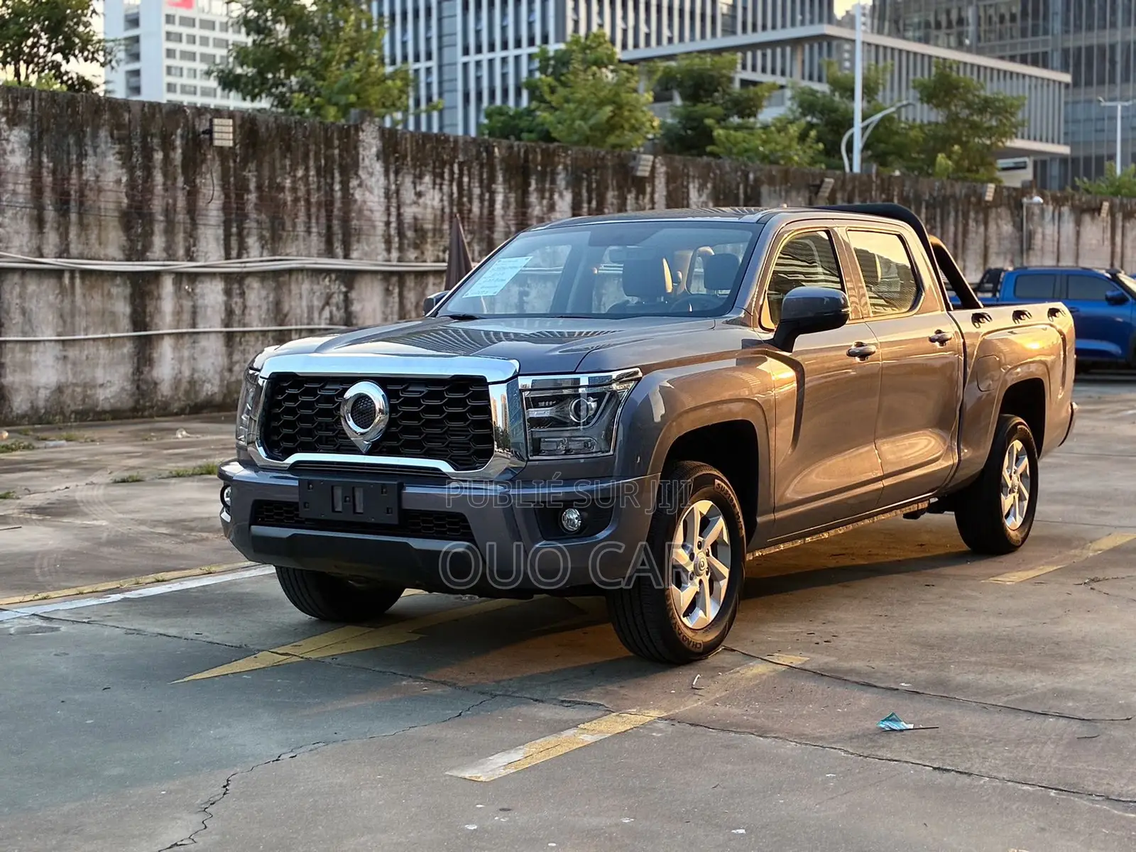 Great Wall King Kong Poer 2022 Gris
