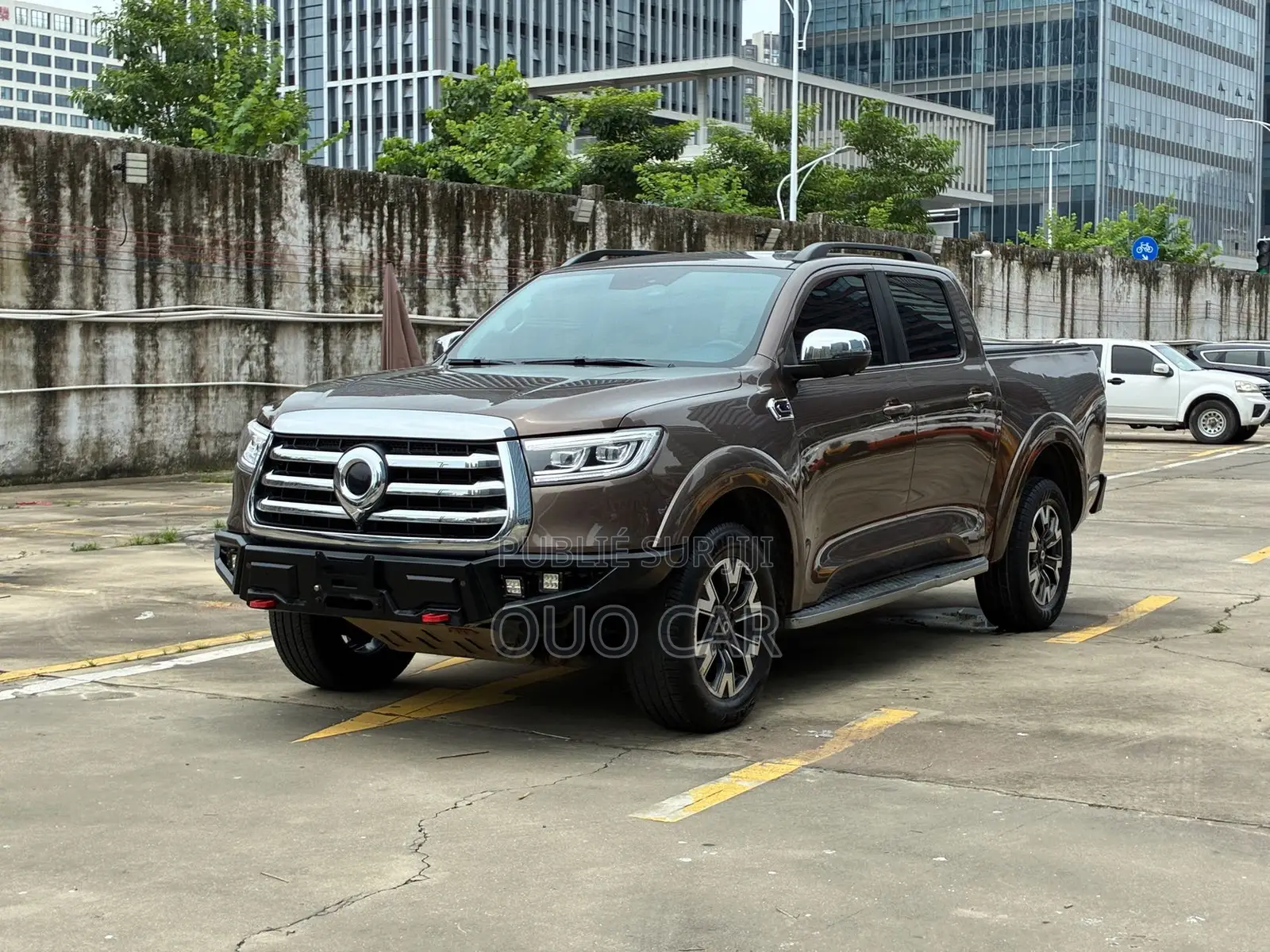 Great Wall Pao 2.0 Petrol AWD 2021 Marron