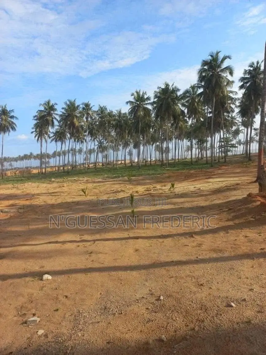 Terrain 4 Hectares À Grand-Bassam en Bordure De Mer Avec ACD