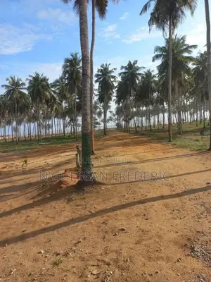 Terrain 4 Hectares À Grand-Bassam en Bordure De Mer Avec ACD