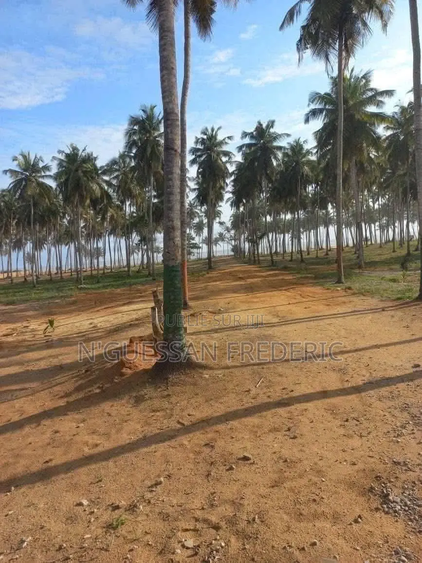 Terrain 4 Hectares À Grand-Bassam en Bordure De Mer Avec ACD