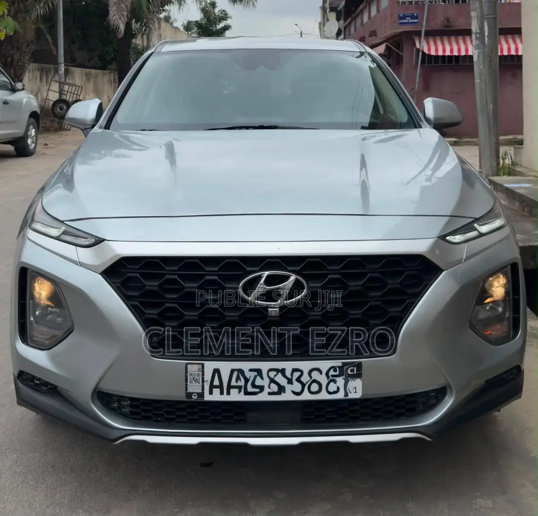 Hyundai Santa Fe 2019 Gris