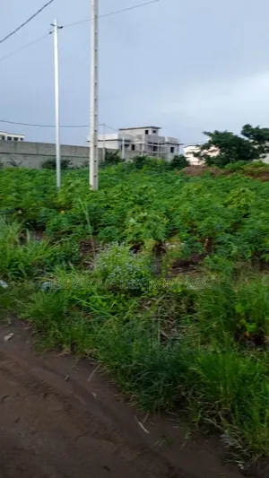 Terrain 1ha ( 10.000) en Bordure Lagune Cocody Riviera Mbadon