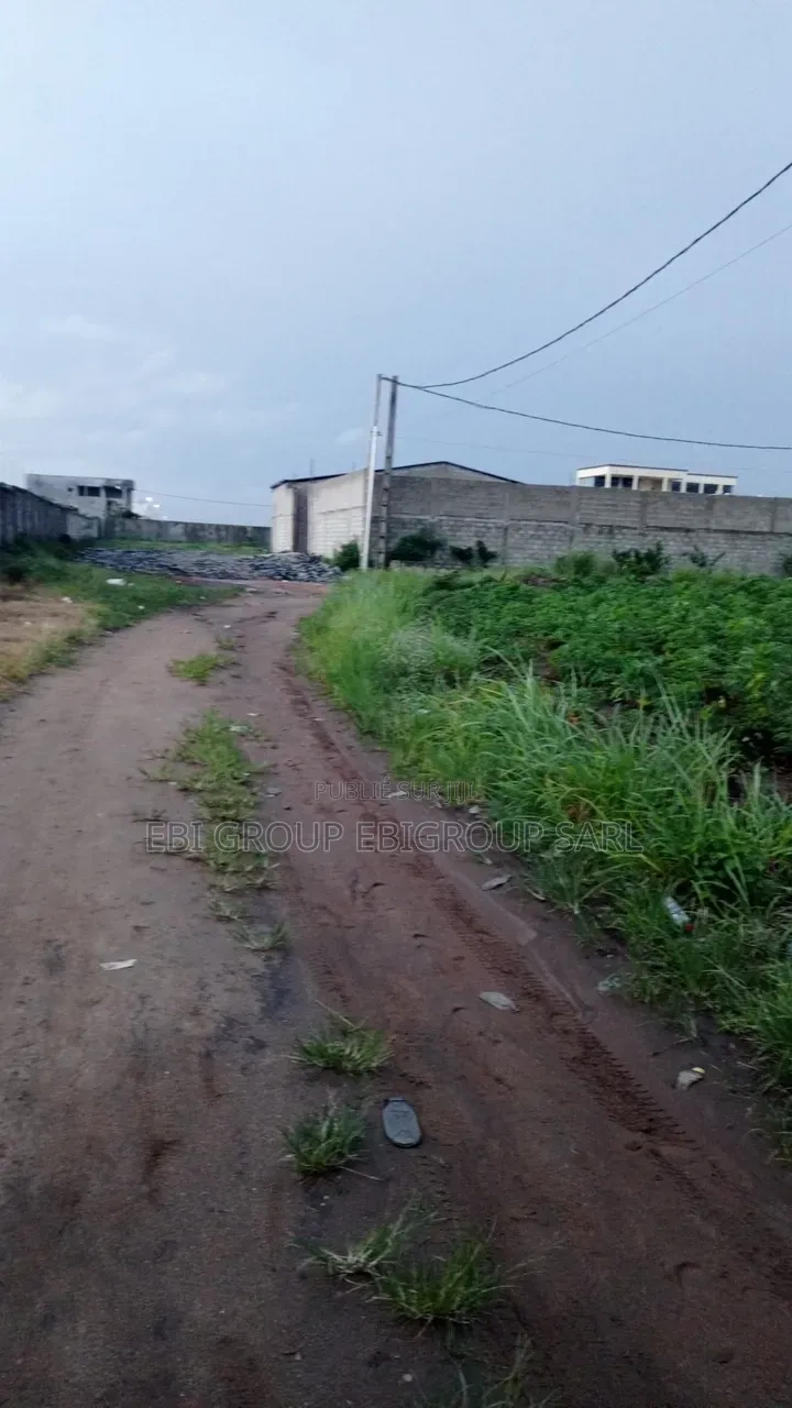 Terrain 1ha ( 10.000) en Bordure Lagune Cocody Riviera Mbadon