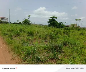 Terrain 1ha ( 10.000) en Bordure Lagune Cocody Riviera Mbadon