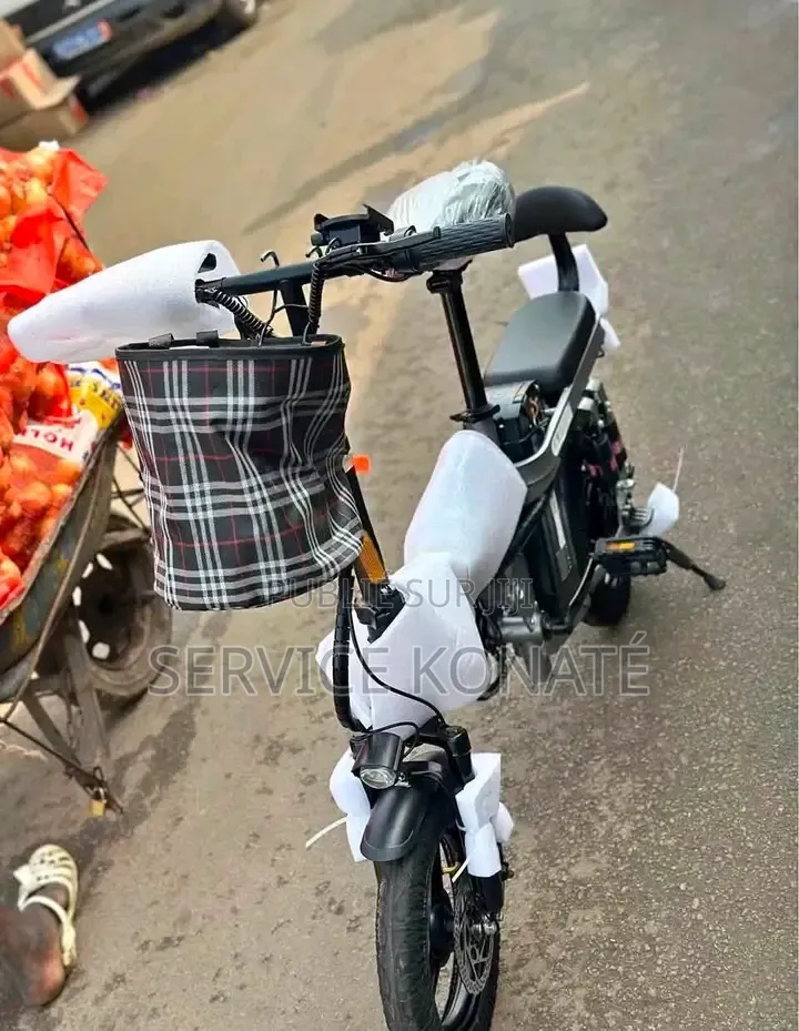 Vélo Électrique