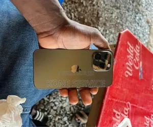 Nouveau Apple iPhone 13 Pro 256 GB Gris
