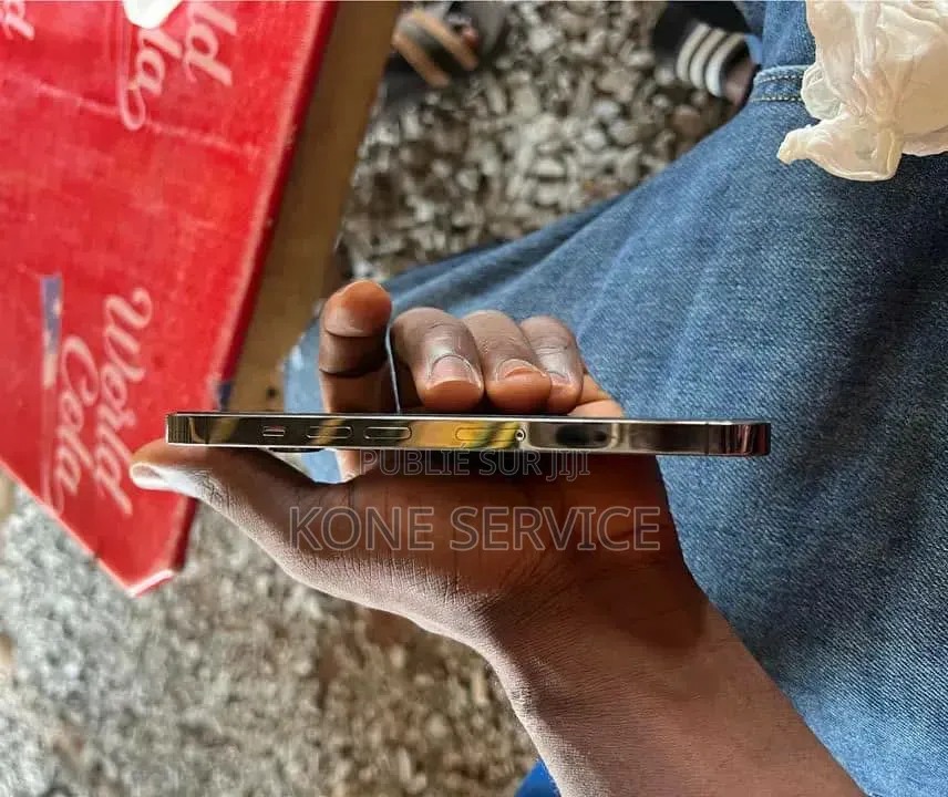 Nouveau Apple iPhone 13 Pro 256 GB Gris