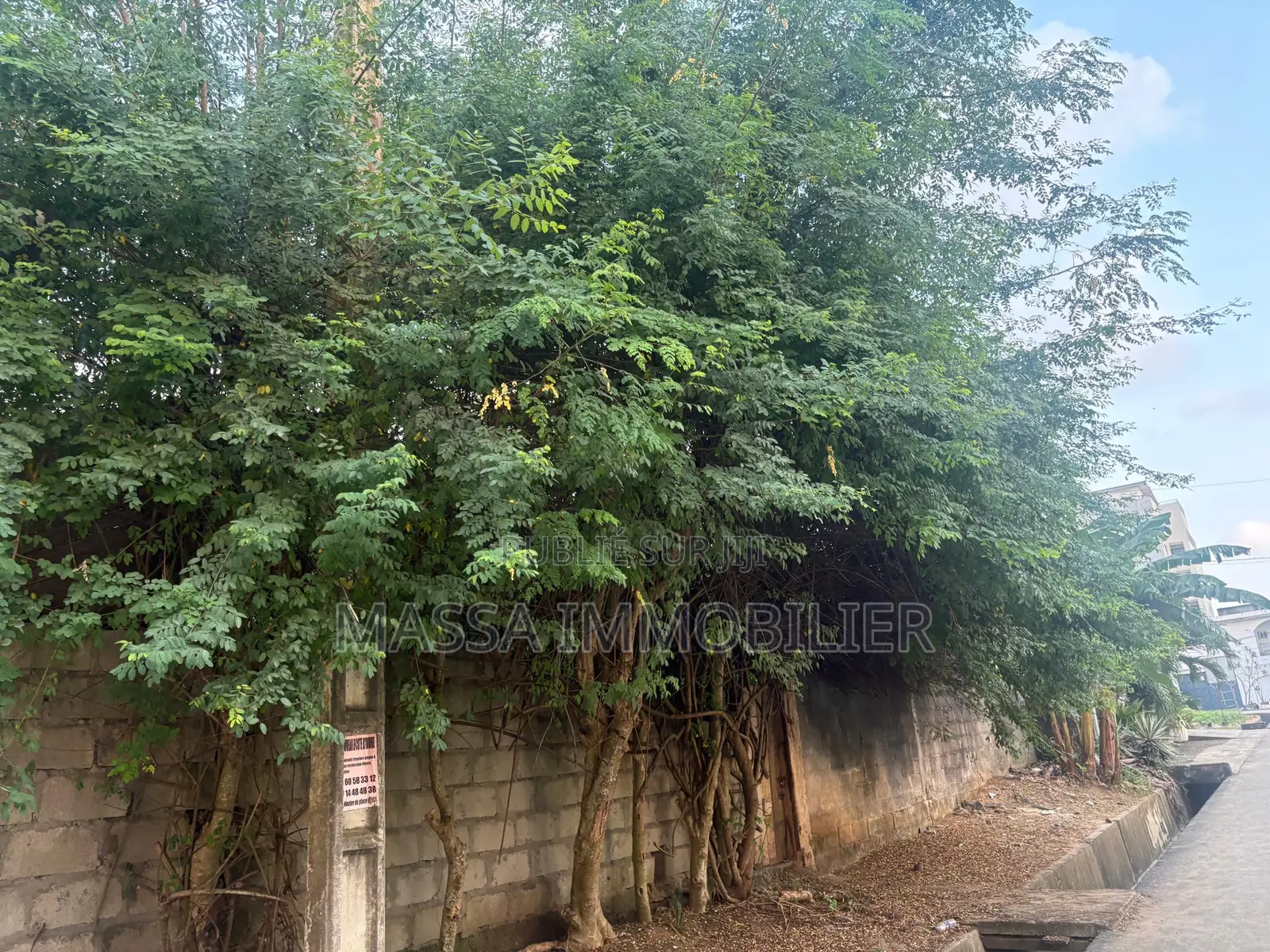 Vente Terrain Mixte 600 M2 À Cocody Riviera 3